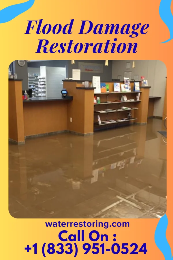 Flood Damage Restoration in Lenora, KS