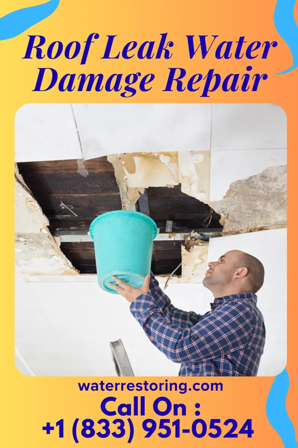 Roof Leak Water Damage Repair in Lenora, KS
