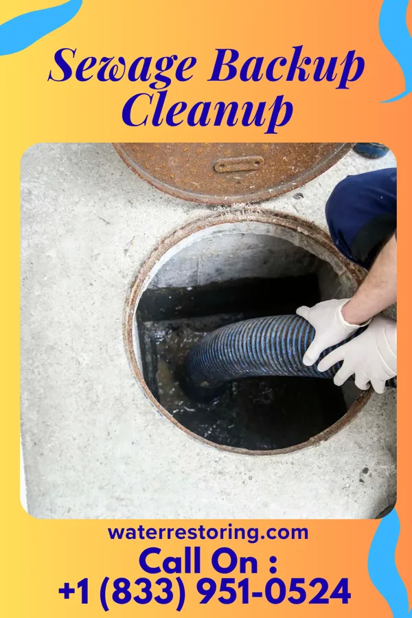 Sewage Backup Cleanup in Lenora, KS