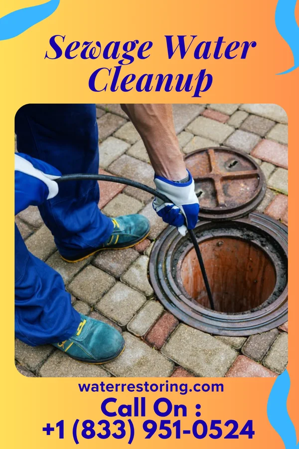 Sewage Water Cleanup in Lenora, KS